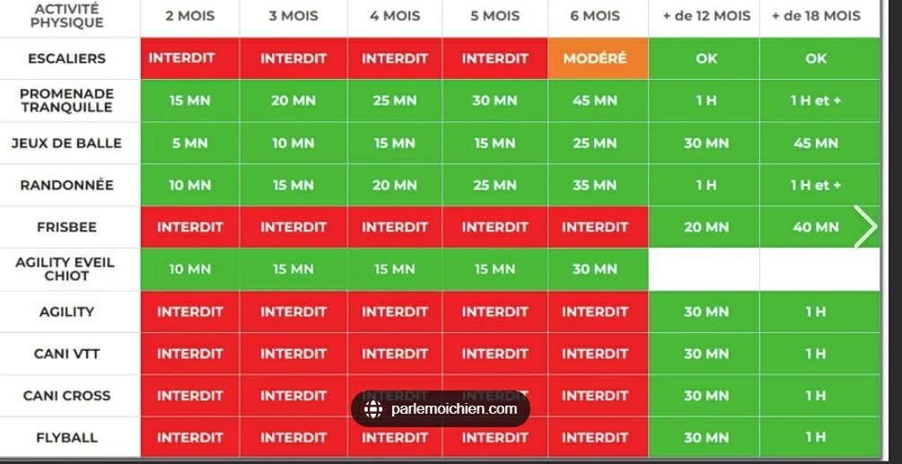 Tableau - sports et âge du chiot